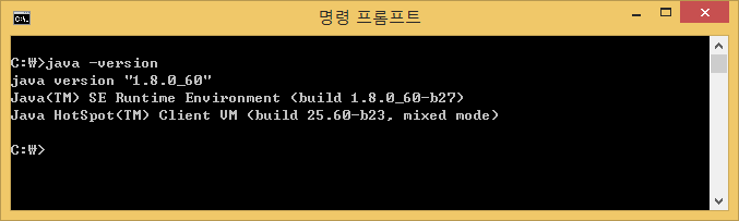 자바 버전 확인